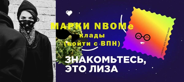 прущие крисы Ельня