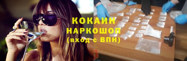дживик Няндома