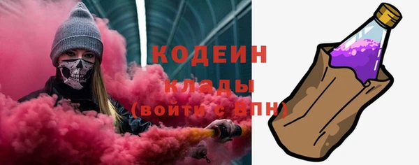 прущие крисы Ельня