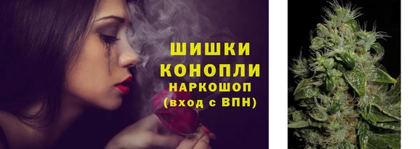 прущие крисы Ельня