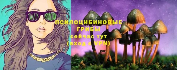трава Елизово