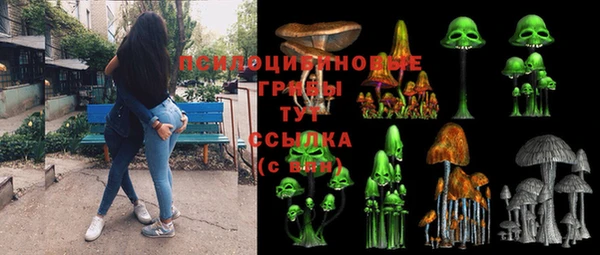 дживик Няндома