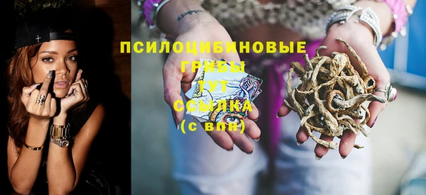 дживик Няндома