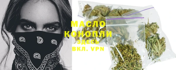 прущие крисы Ельня