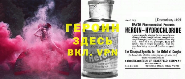 дживик Няндома
