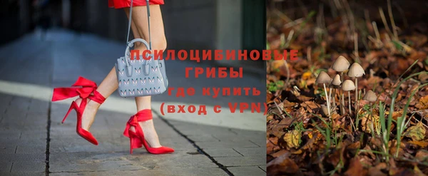 прущие крисы Ельня